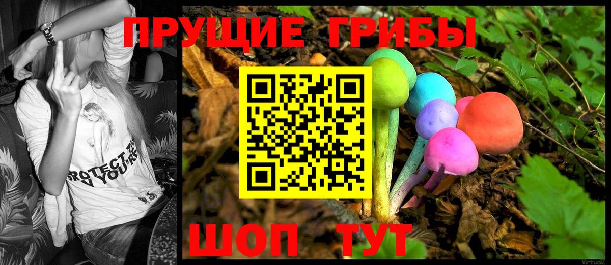 Галлюциногенные грибы GOLDEN TEACHER  Вход с VPN  Новодвинск  Псилоцибиновые грибы Magic Shrooms 
